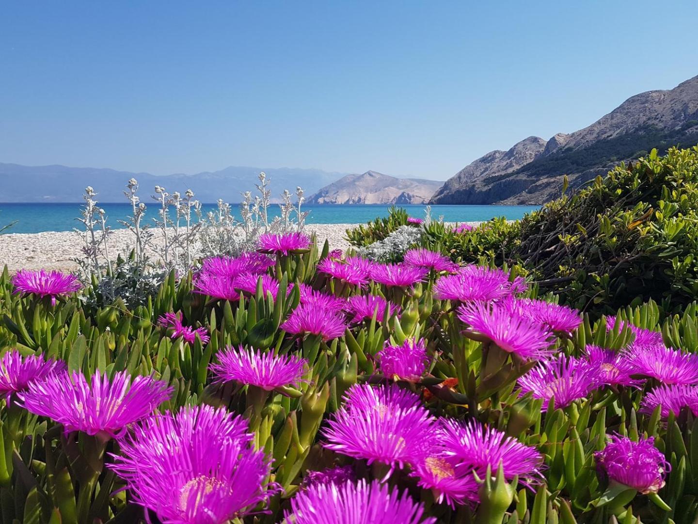 Apartments Barbalic D Baška Εξωτερικό φωτογραφία